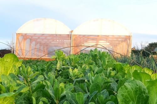 Portes ouvertes et visite libre du jardin