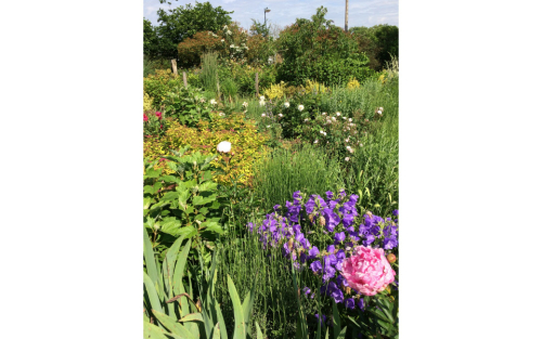 Conférence "Aménager son jardin de campagne"