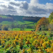 Marche des 7 Collines