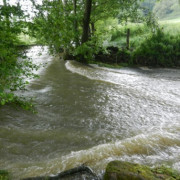 La Marche du Chêne Bossu