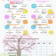 Programme des mercredis de février et mars 2026