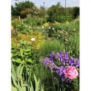 Conférence "Aménager son jardin de campagne"