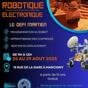 Stage Robotique et Electronique à Marcigny